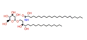 Regulosides B